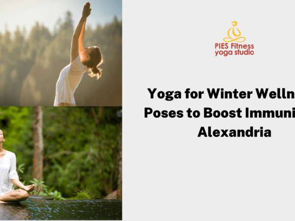 Yoga for Winter Wellness: Poses to Boost Immunity in Alexandria