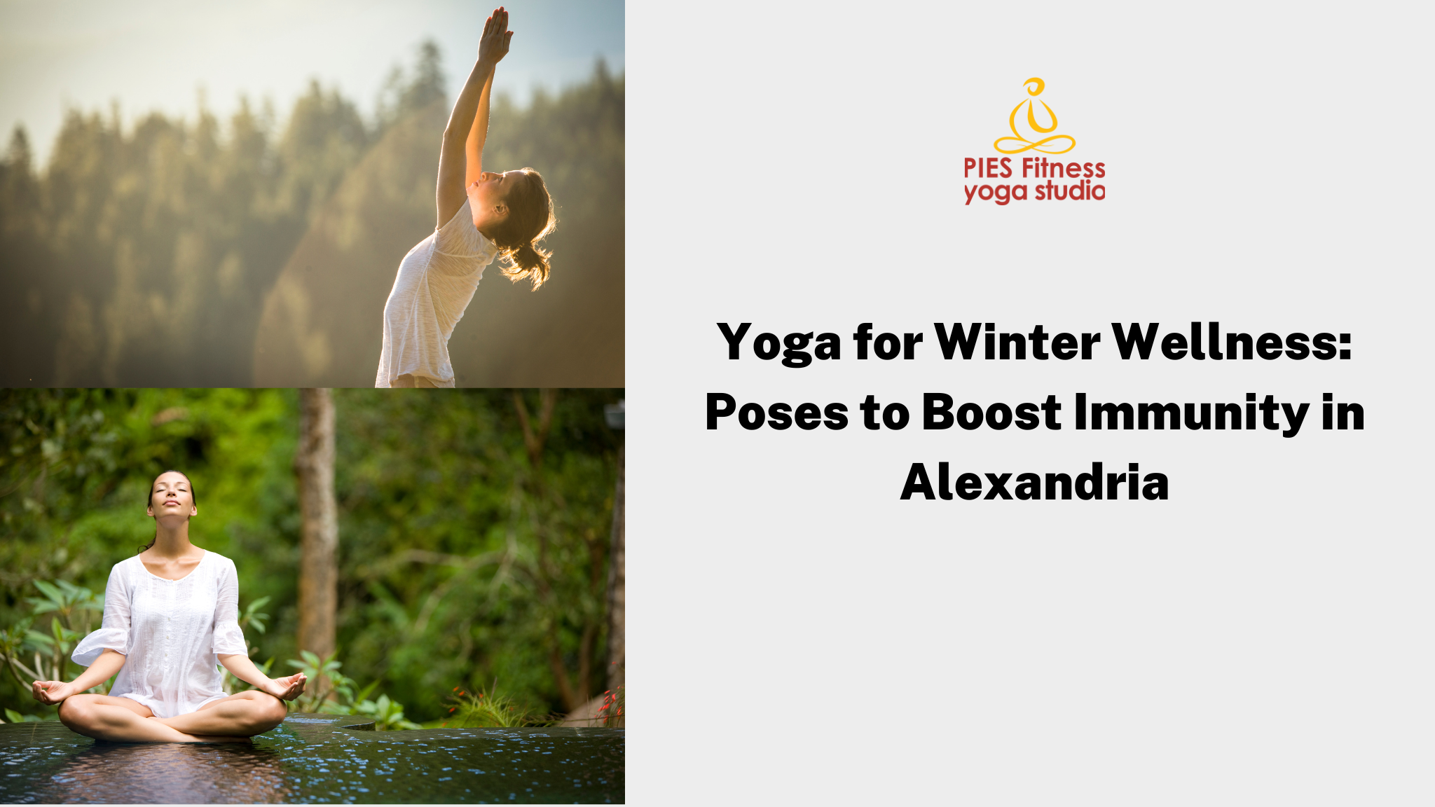 Yoga for Winter Wellness: Poses to Boost Immunity in Alexandria